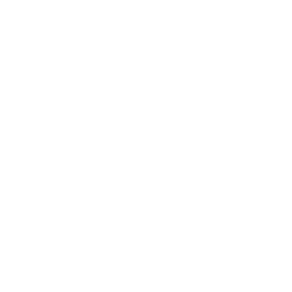 Tip van Vijay logo