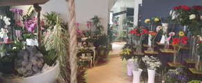 Rénovation d'une boutique
