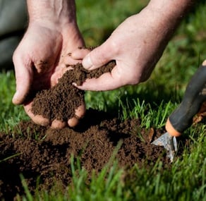 a person holding a piece of soil in their hands