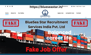 Blueseastar job offer