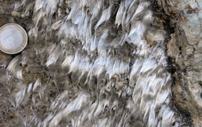 Veine d'actinolite-amiante. ©C.Coutin, Rutali, Haute-Corse