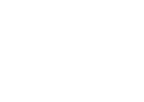 Both Hands Logo