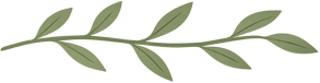 Leaf Border