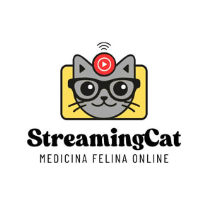 Streaming Cat logo