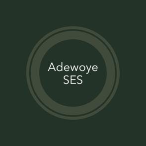 Site SES K.Adewoye logo
