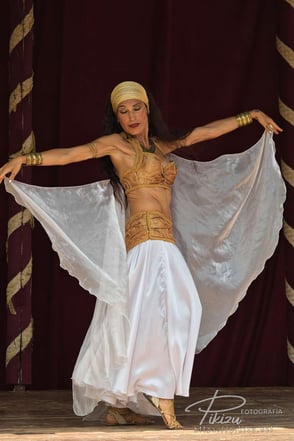 Briones 2025. Danzas