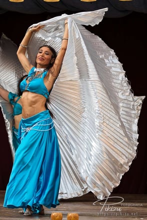 Briones 2025. Danzas