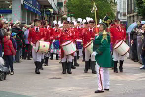 50 tamborrada. Vitoria