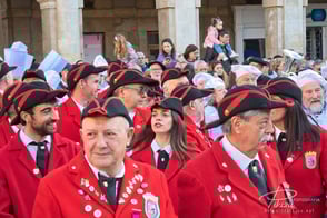 50 tamborrada. Vitoria