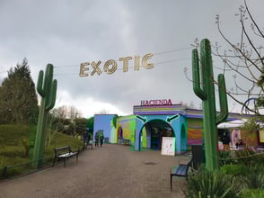 Toegang hacienda poort catus exotic vernieuwd nieuw