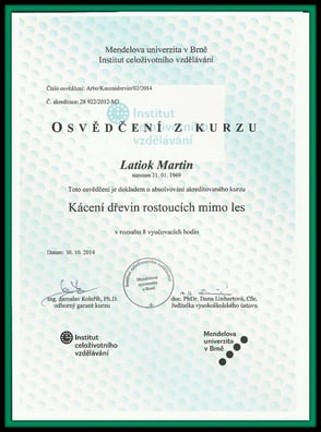 Rizikové kácení stromů rostoucích mimo les