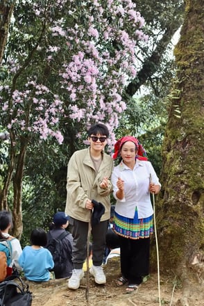 A Hờ Tour & Homestay Y Tý: Leo núi trekking Lảo Thẩn ngắm hoa đỗ quyên tuyệt đẹp cùng người H'Mông