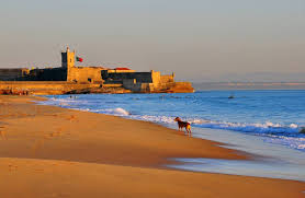 carcavelos beach
