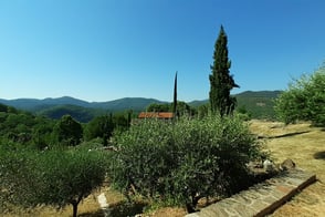 Le Jardin