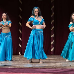 Briones 2025. Danzas