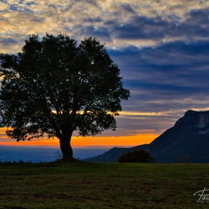 Atardecer