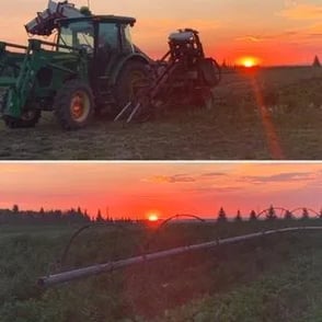 Poplar Bluff Organics working with a green tractor at a red sunrise in their carrot field