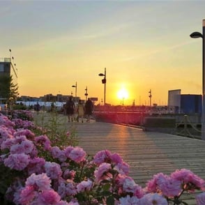 Bassin Louise, coucher de soleil.