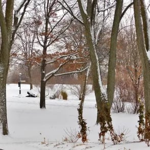 Plaines d'Abraham en hiver.