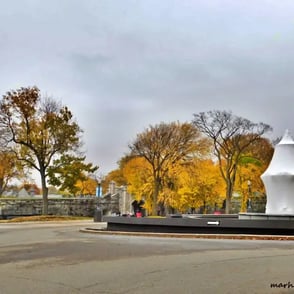 Fontaine de Tourny, hibernation.