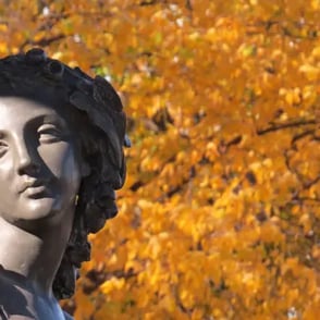 Fontaine de Tourny, feuilles d'automne.