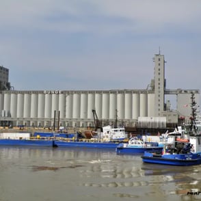 Vieux port, remorqueurs.