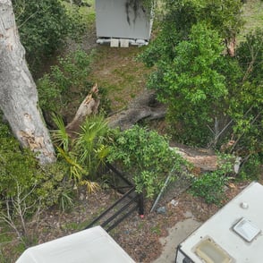 Inspection photography image of fallen tree damaging a fence