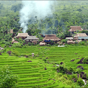 Rice terraces in North Vietnam