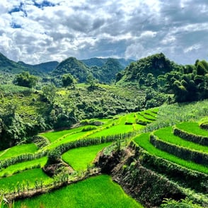 Rice terraces Lai Chau North Vietnam