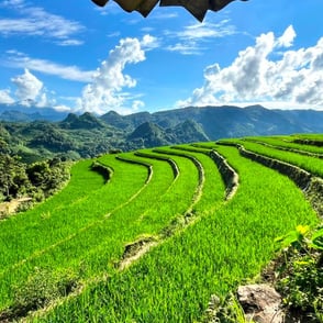 Rice terraces Lai Chau North Vietnam