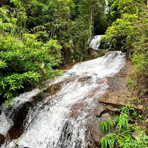 Mountain torrent Lai Chau North Vietnam