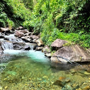 Mountain torrent Lai Chau North Vietnam