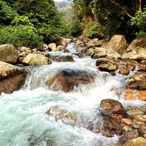 Mountain torrent Lai Chau North Vietnam