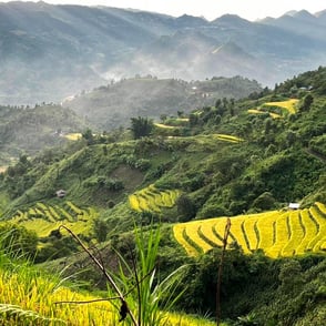 Rice terraces Lai Chau North Vietnam