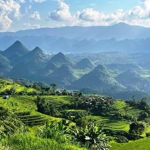 Rice terraces in North Vietnam