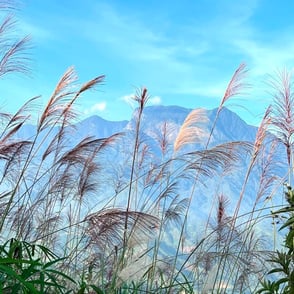 Mountain Lai Chau North Vietnam