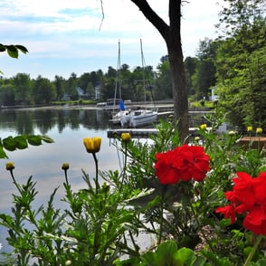 North Hartley, lac Massawippi, fleurs