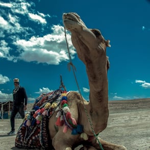 Iran-Qashqai-Photo © Mohsen Mahmoodzadeh