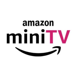 Logo of Amazon Mini TV