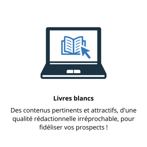 Rédaction livre blancs et ebook