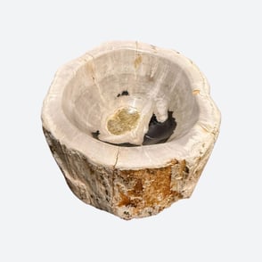 Petrified Wood Bowl. Medium Small size