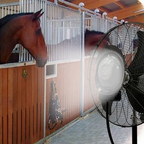 mist-fan-horse-stable