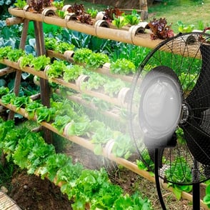 mist-fan-vegetables