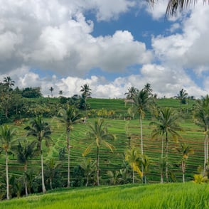 Jatiluwih Rice Terrace, Tabanan Regency, Bali, Indonesia