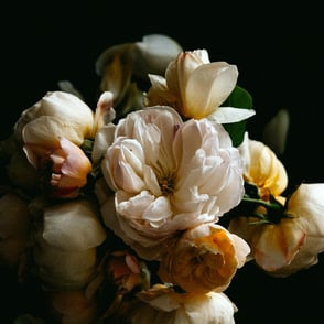 A bouquet of champagne-colored musk roses.