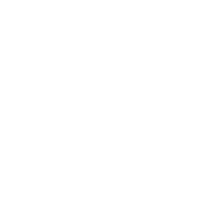 Image of Stephen Jason Bridgett's logo.