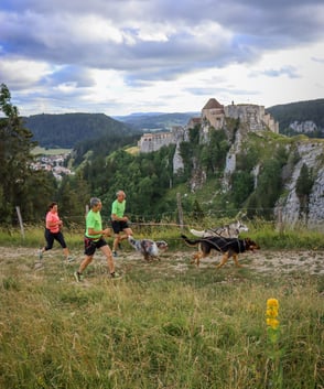 Parcours du canitrail du trail des sangliers de pontarlier