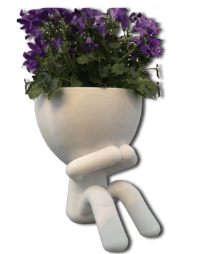 Pot de fleur original
