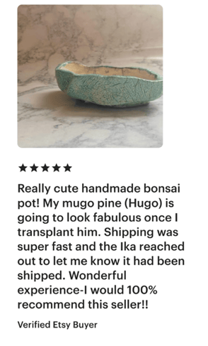 customer review bonsai pot