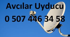 avcılar uyducu çanak anten Televizyon servisi
